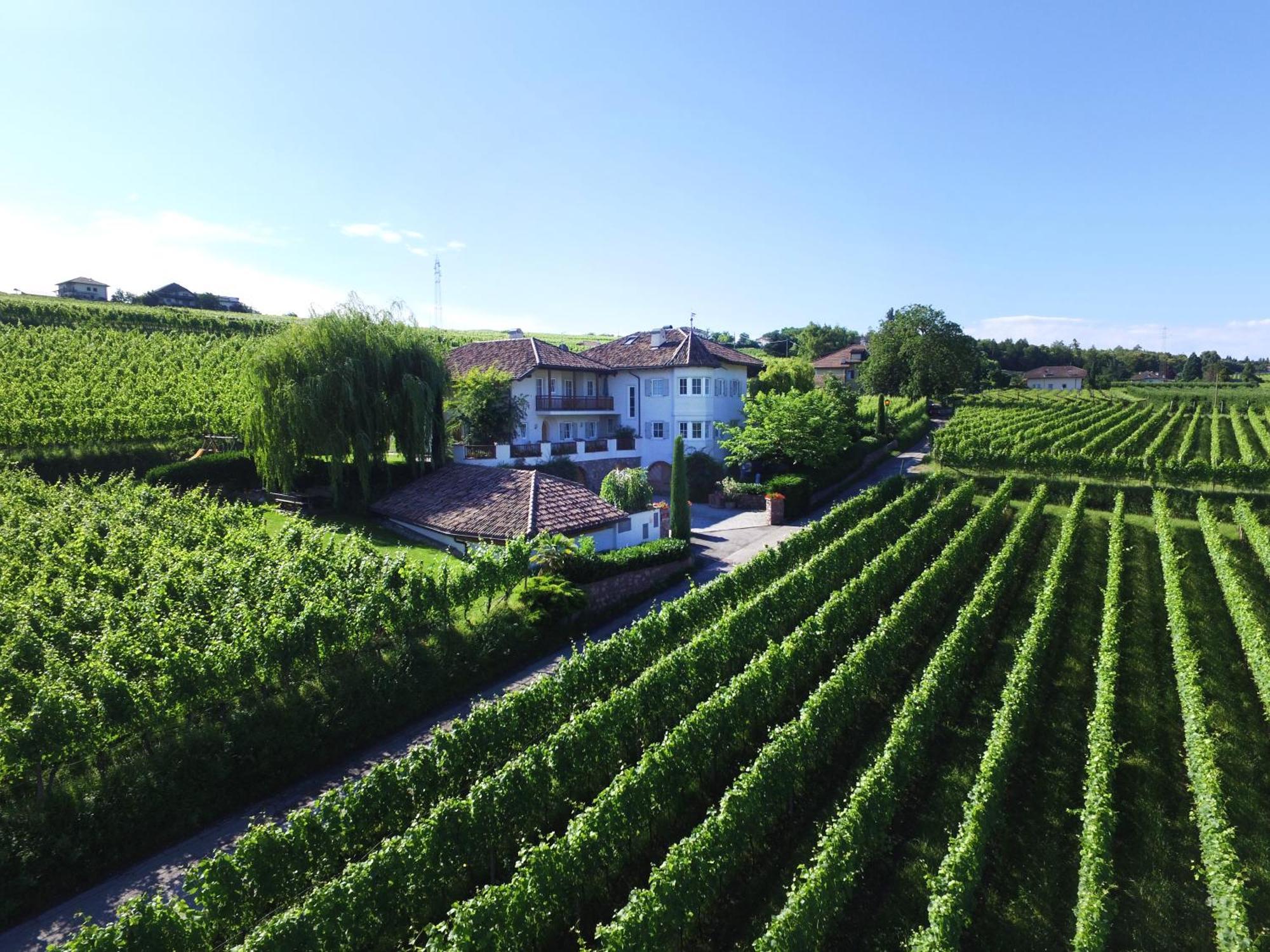 Appartamento Weinhof Mumelter Appiano Sulla Strada Del Vino Esterno foto